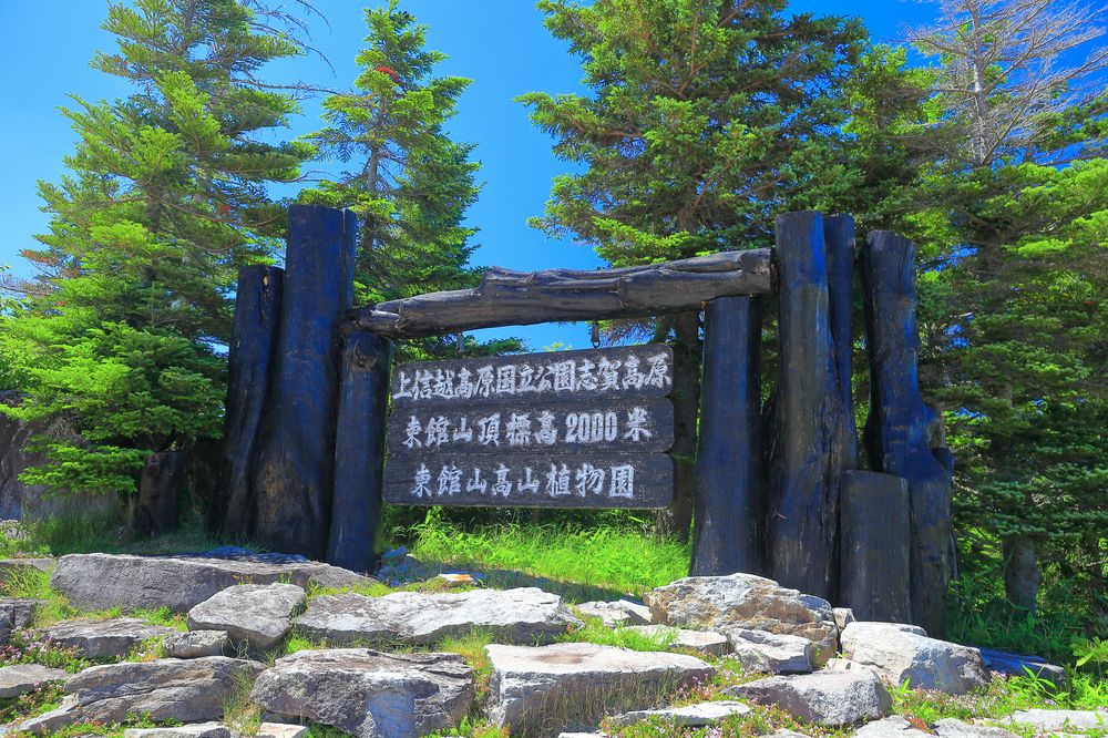 東館山高山植物園の画像 - 6枚目