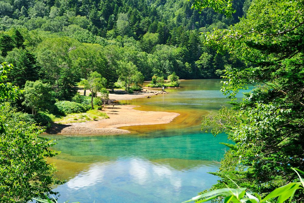 大沼池の画像 - 3枚目
