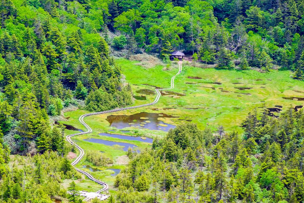 四十八池湿原の画像 - 3枚目