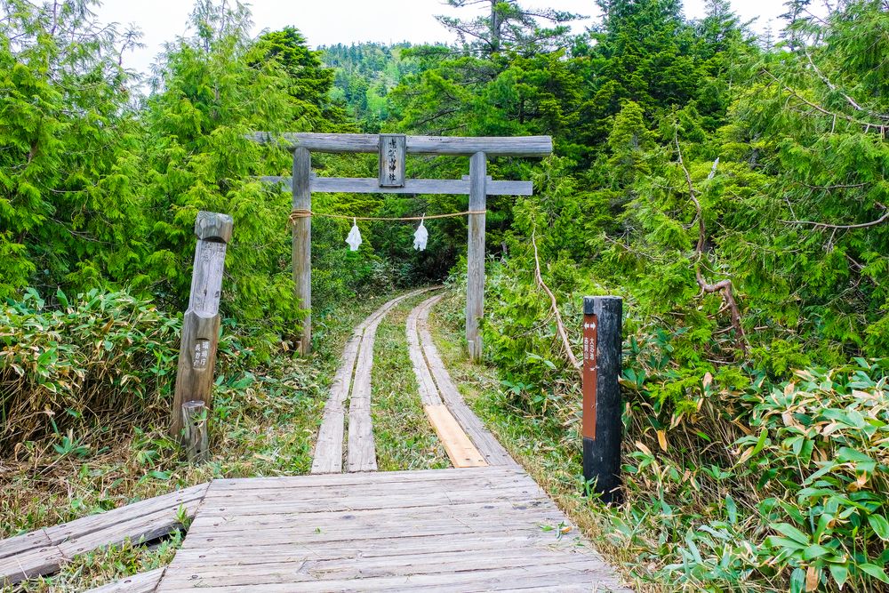 四十八池湿原の画像 - 5枚目