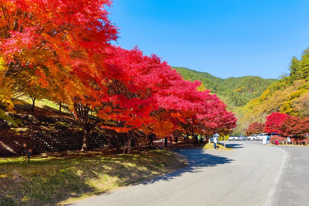 箕輪ダムの画像 - 5枚目
