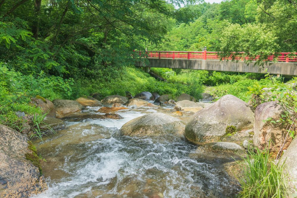 牛伏寺誌　歴史編、自然編　セット 牛伏寺誌 歴史編、自然編 セット