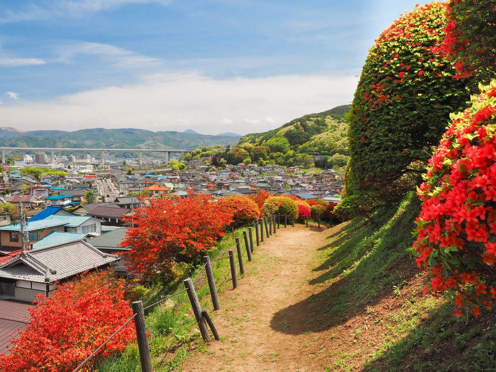 鶴峯公園の画像 - 2枚目
