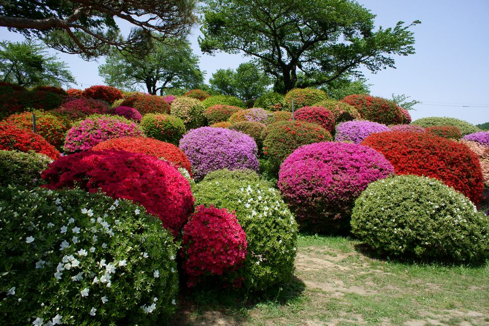 鶴峯公園の画像 - 3枚目