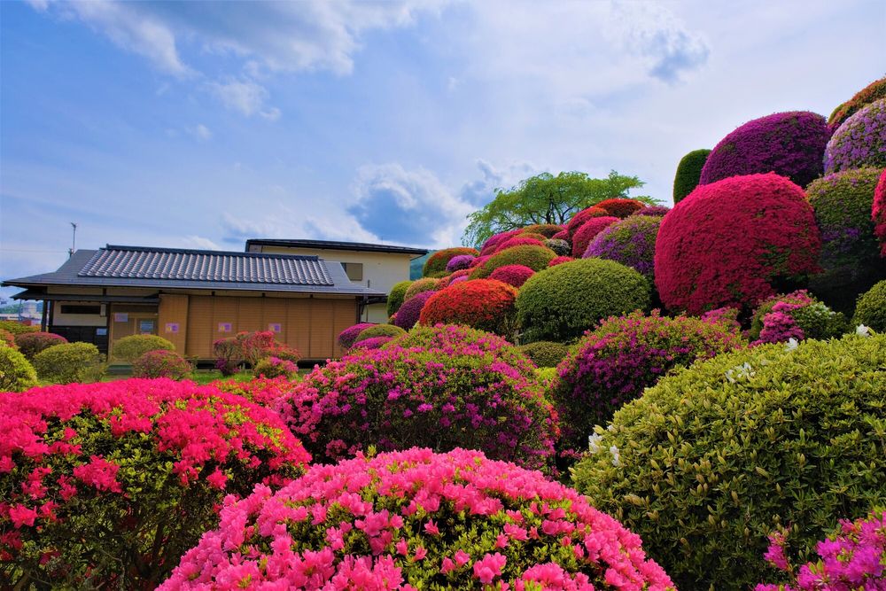 鶴峯公園の画像 - 4枚目