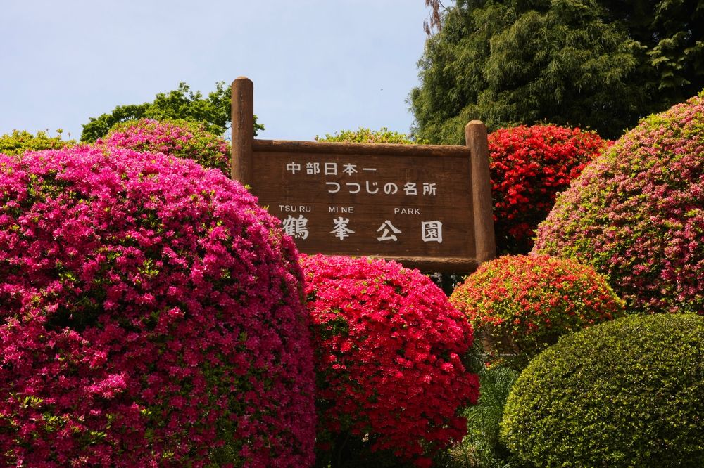 鶴峯公園の画像 - 6枚目