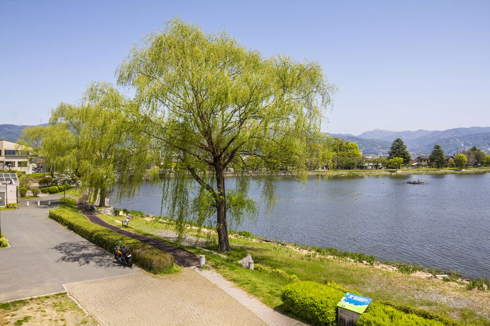 岡谷湖畔公園の画像 - 4枚目