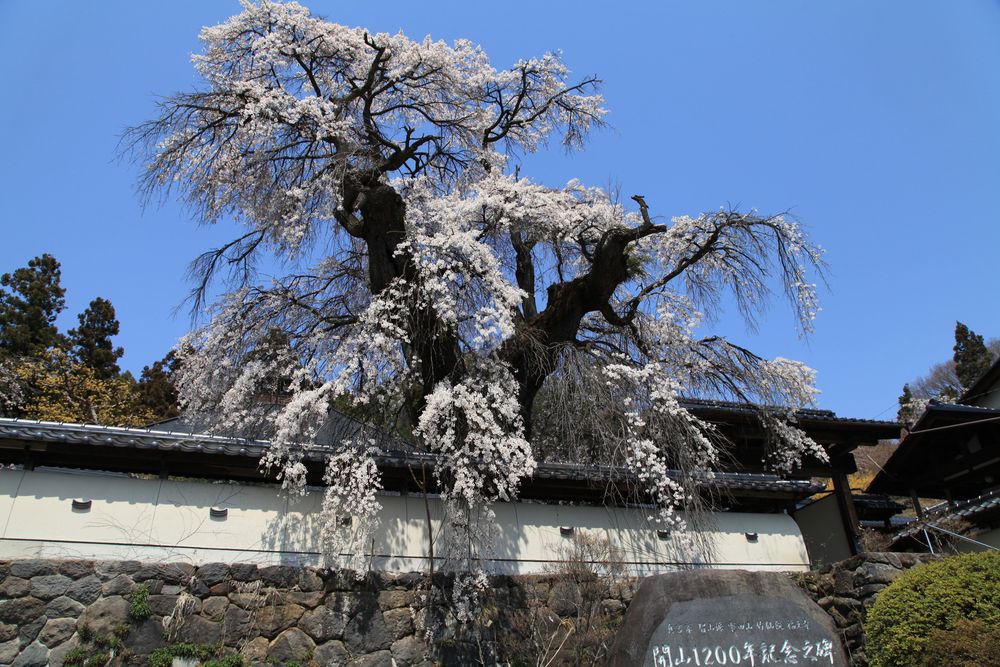 福王寺の画像 - 3枚目