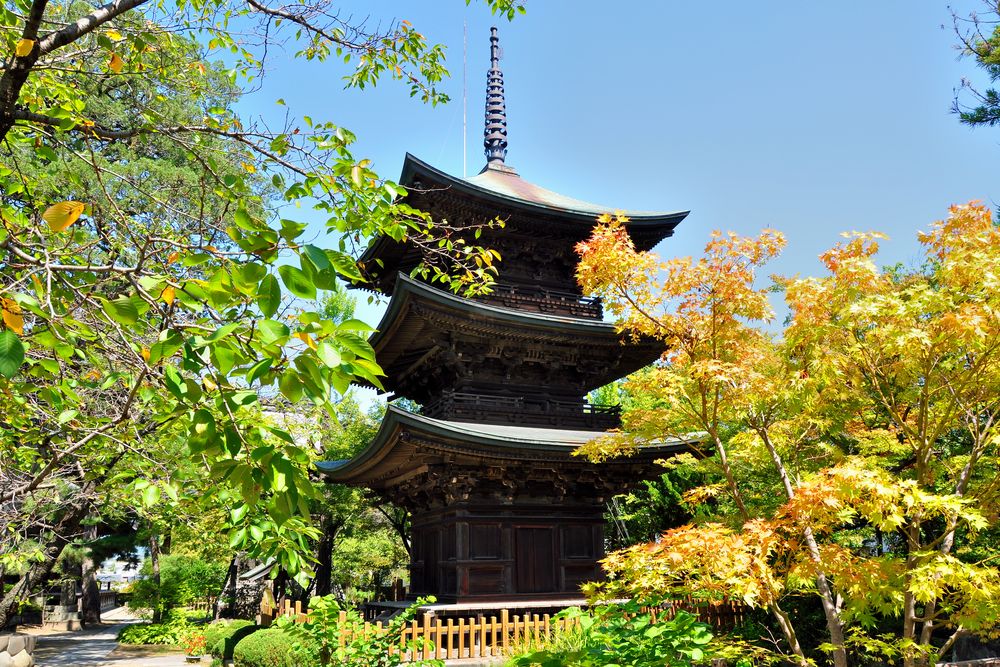 信濃国分寺の画像 - 3枚目