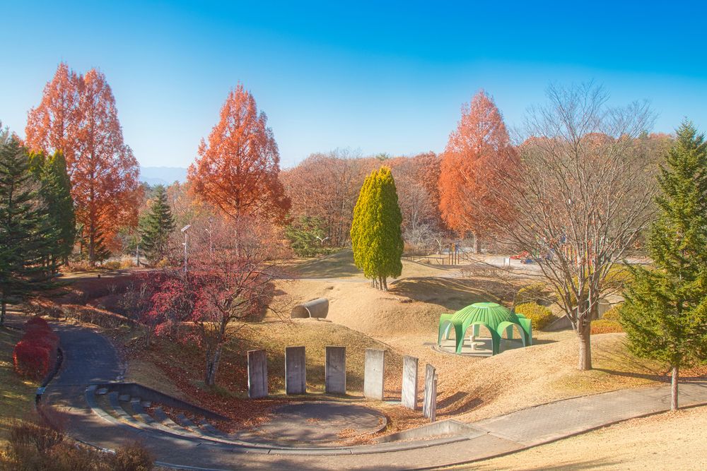 上田市 市民の森公園