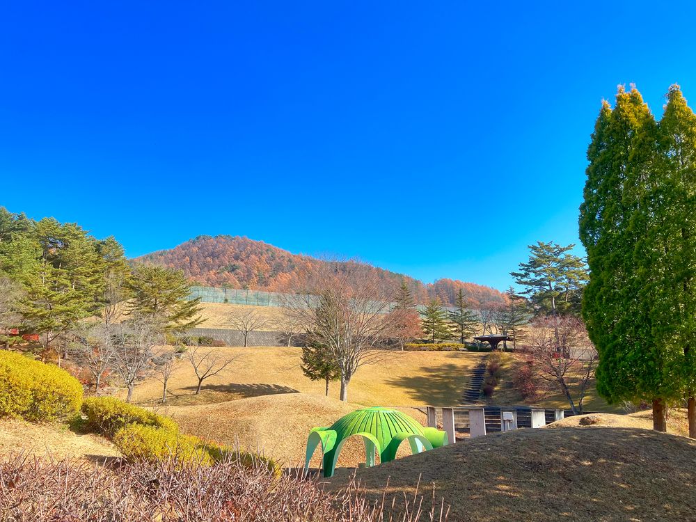 上田市 市民の森公園の画像 - 4枚目