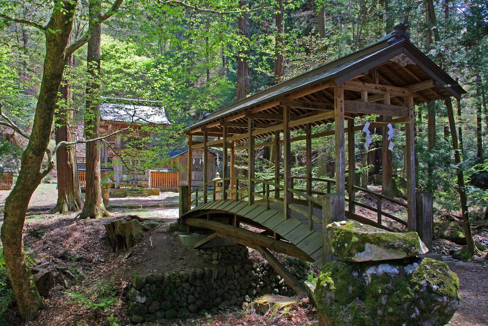 塩野神社の画像 - 2枚目