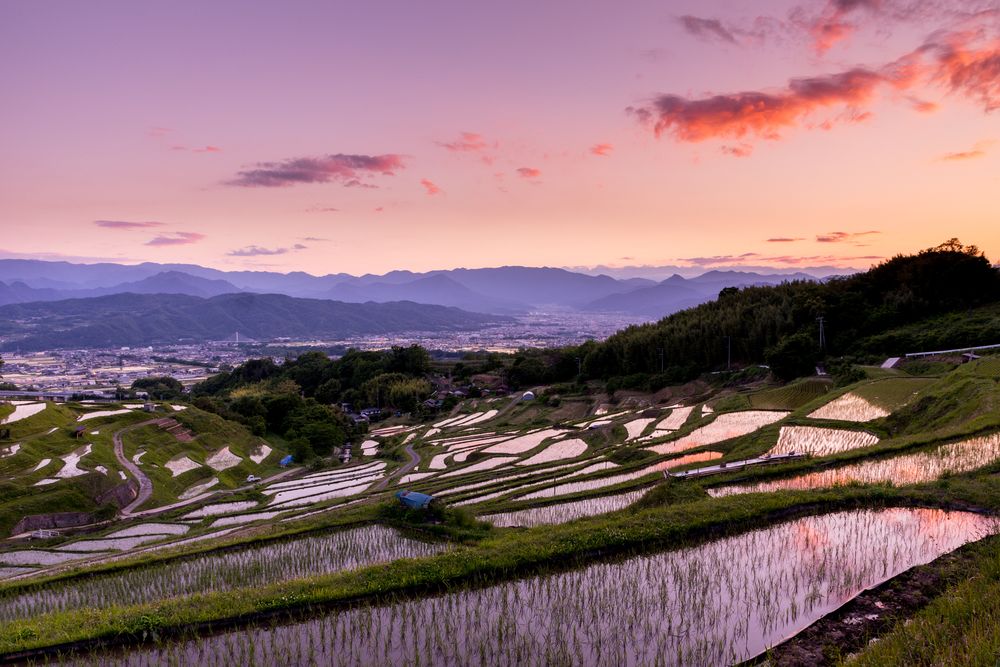稲倉の棚田の画像 - 5枚目