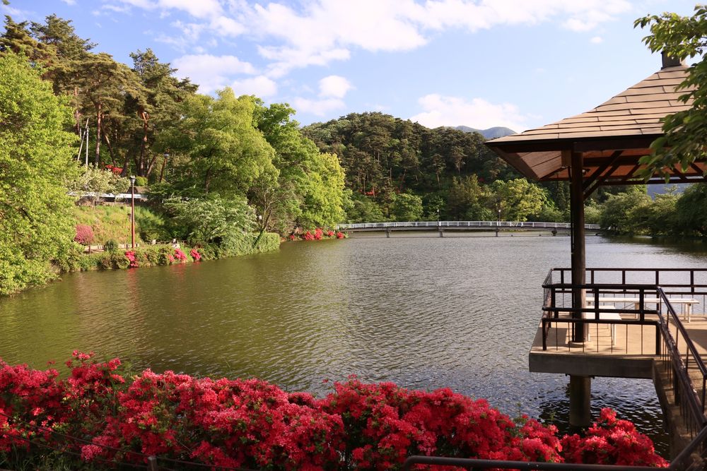 臥竜公園の画像 - 2枚目