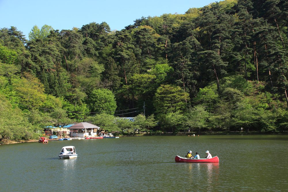 臥竜公園の画像 - 4枚目