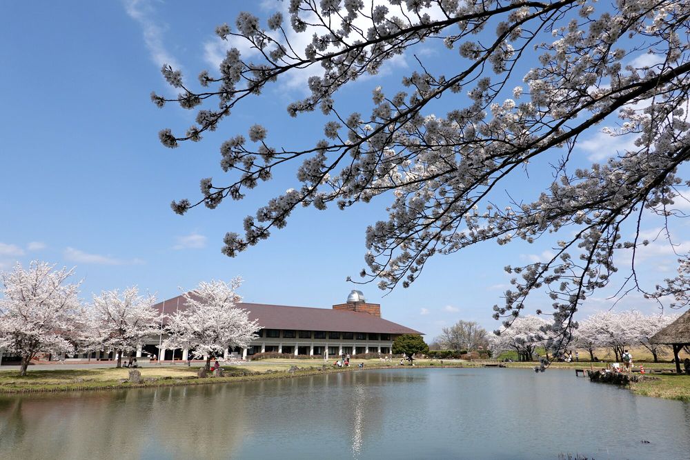 長野市立博物館の画像 - 4枚目