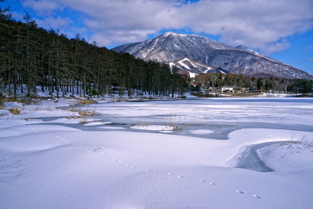 大座法師池の画像 - 5枚目