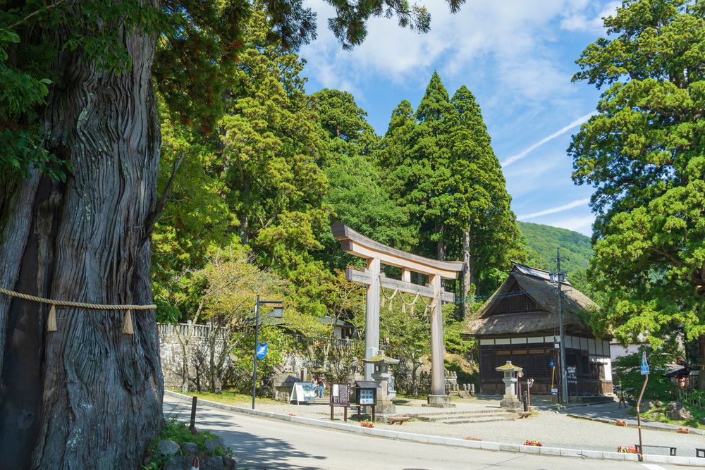 戸隠の三本杉(一本目)の画像 - 2枚目