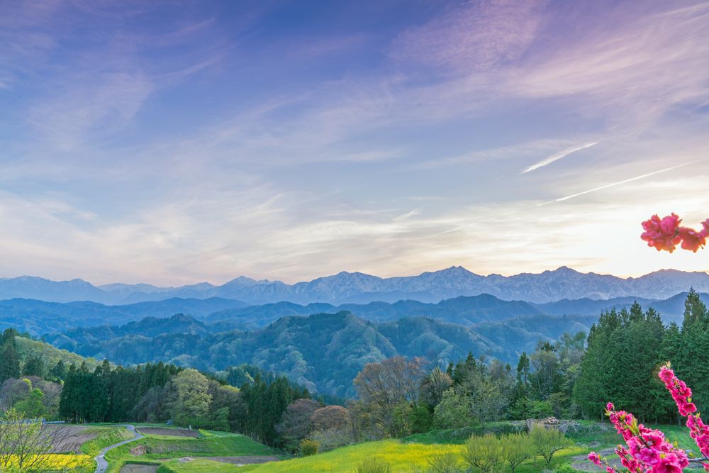 展望広場の画像 - 4枚目