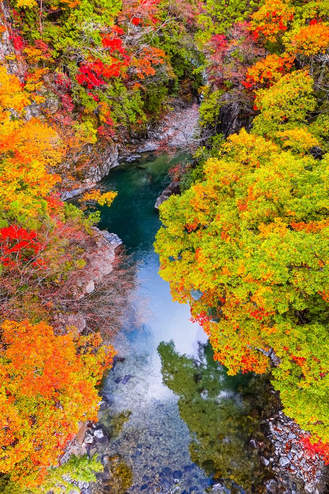 付知峡の画像 - 4枚目
