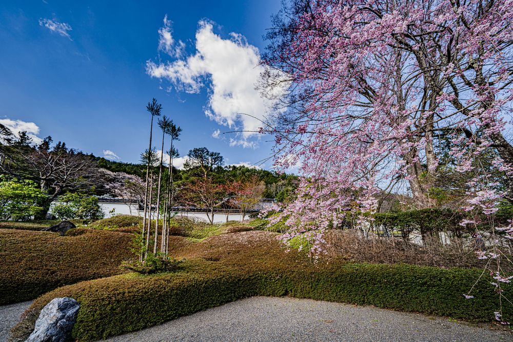 興禅寺の画像 - 3枚目