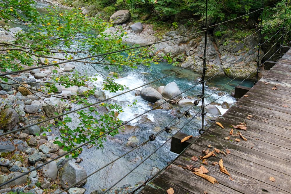 見倉橋の画像 - 2枚目