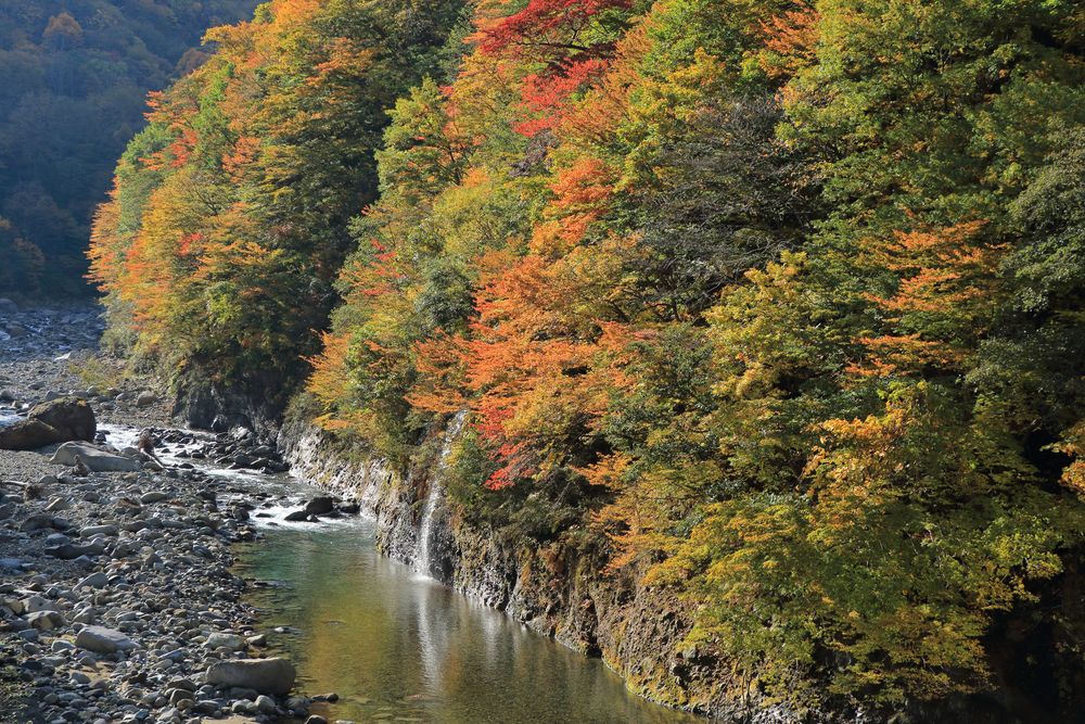 見倉橋の画像 - 4枚目