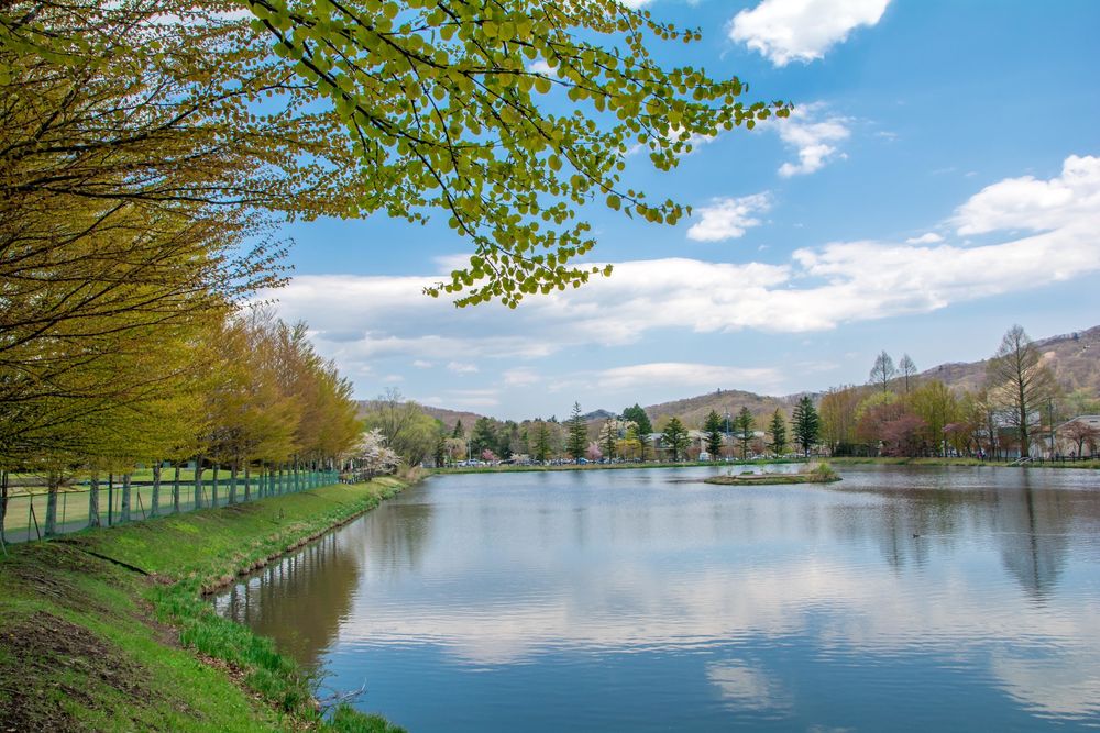 矢ヶ崎公園の画像 - 2枚目