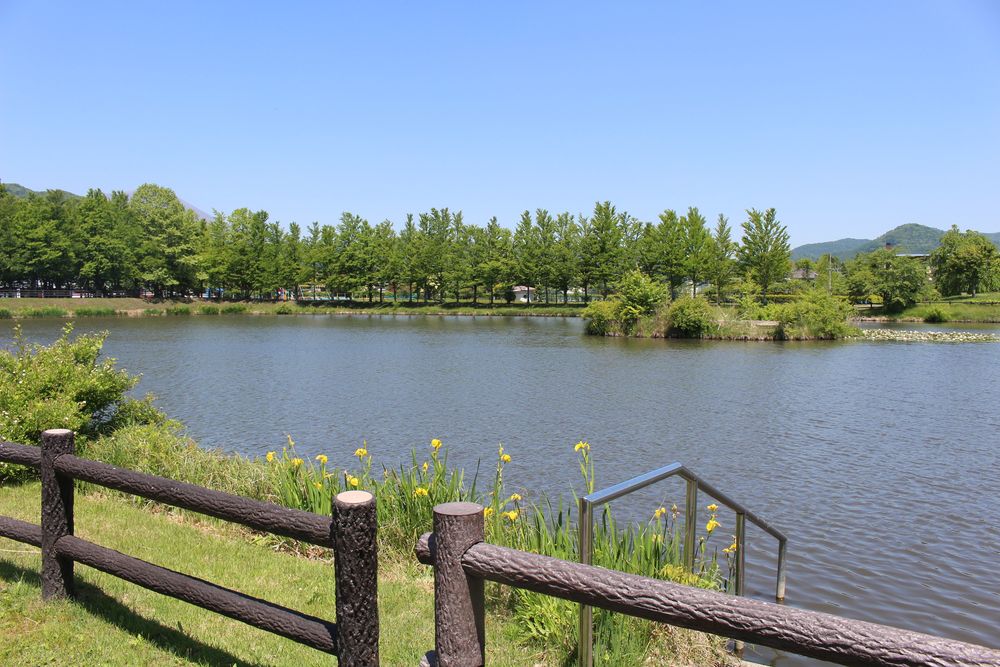 矢ヶ崎公園の画像 - 3枚目
