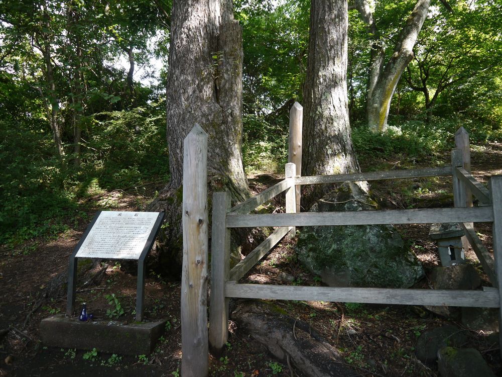 茅野市尖石縄文考古館の画像 - 4枚目