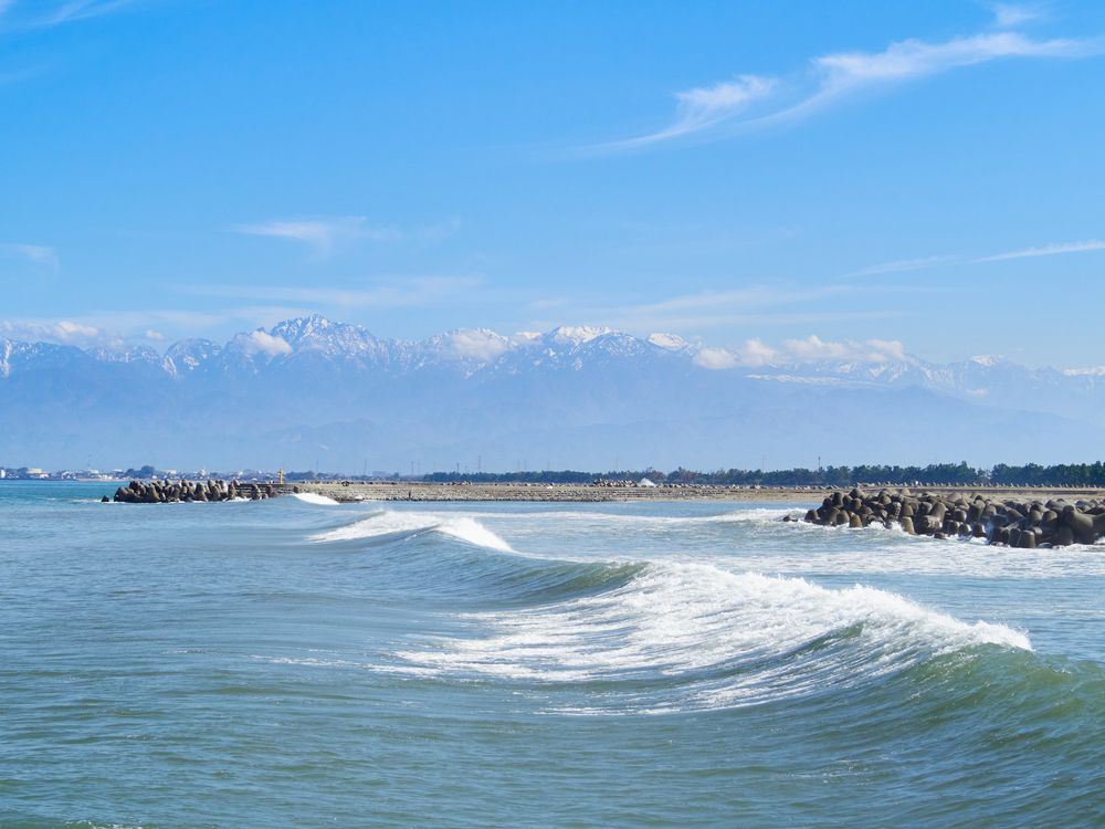 海老江海浜公園の画像 - 4枚目
