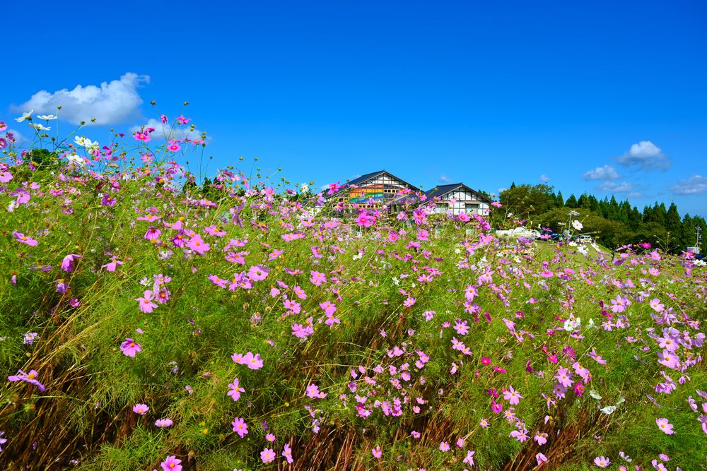 となみ夢の平スキー場の画像 - 2枚目
