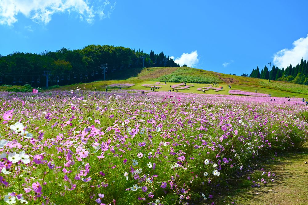 となみ夢の平スキー場
