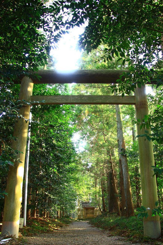 香取神宮の画像 - 4枚目