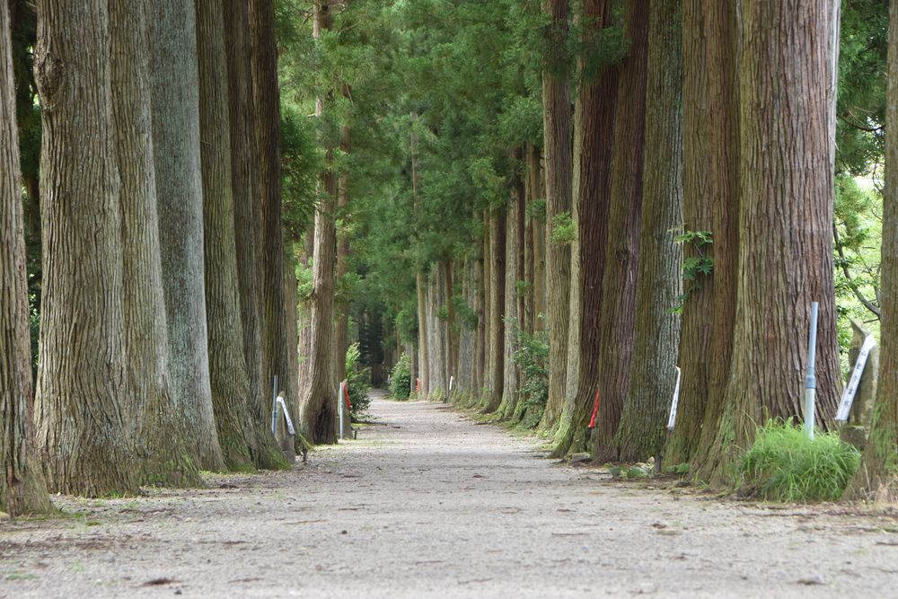 立山寺の画像 - 2枚目
