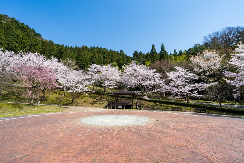 花筐公園の画像 - 2枚目