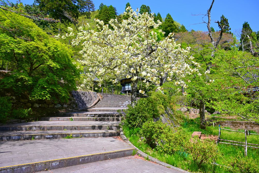 花筐公園の画像 - 4枚目
