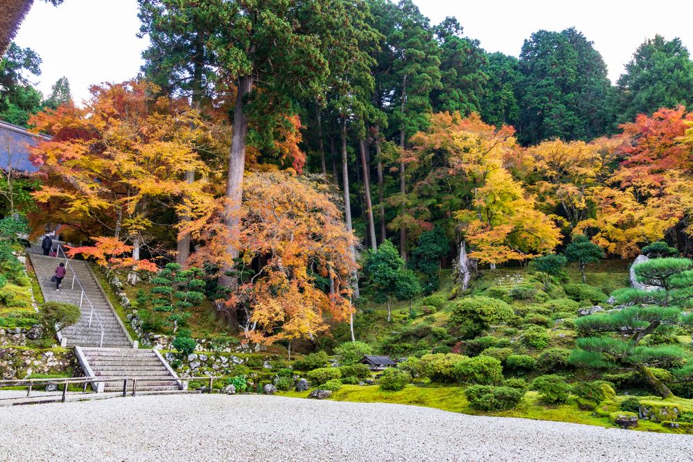萬徳寺庭園の画像 - 2枚目