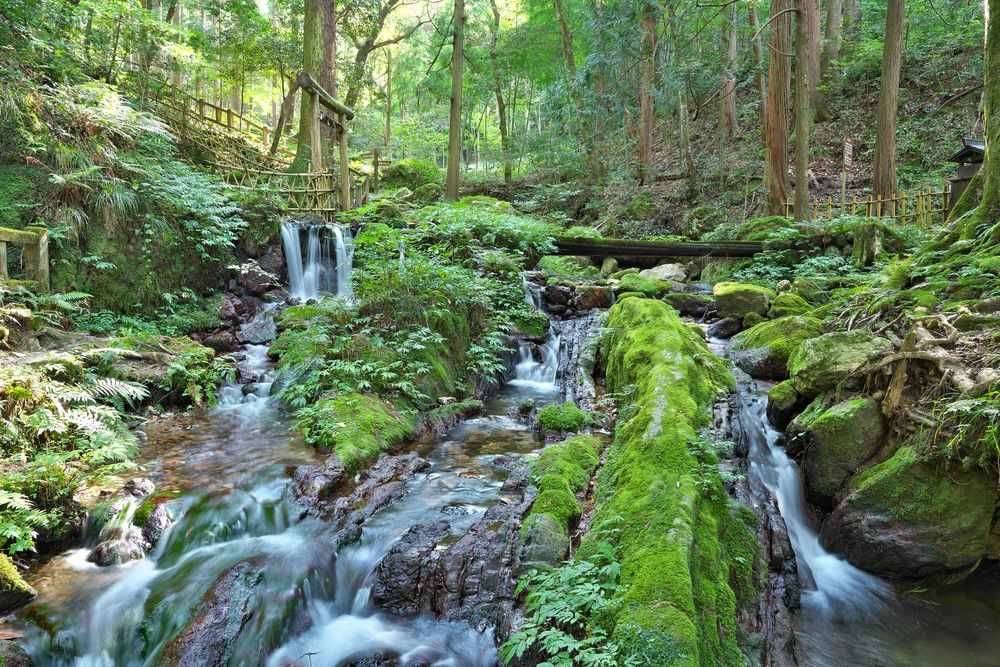 若狭瓜割名水公園
