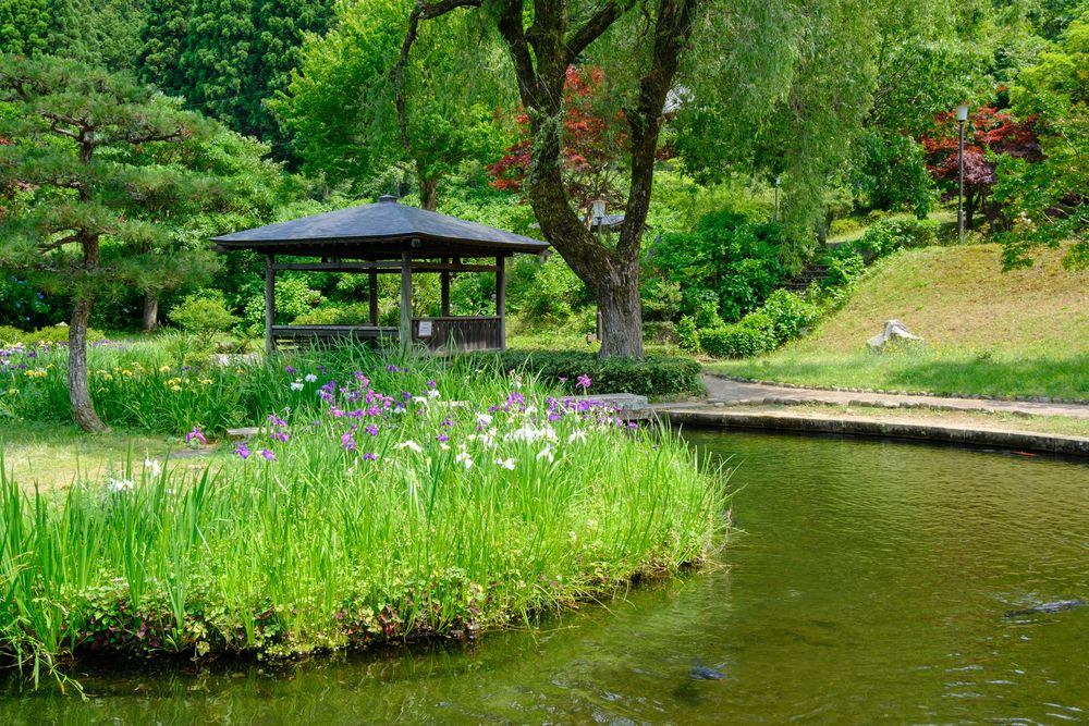 若狭瓜割名水公園の画像 - 4枚目