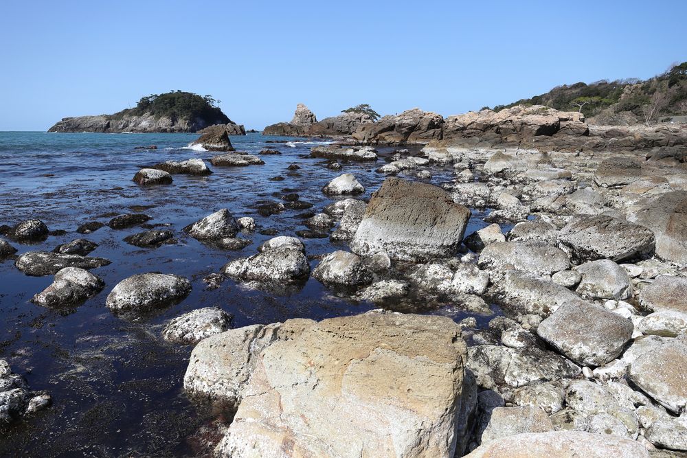 亀島園地の画像 - 2枚目