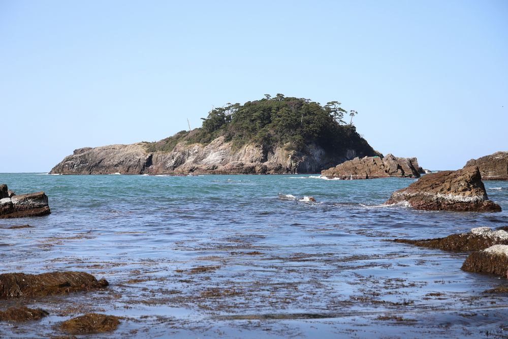 亀島園地の画像 - 3枚目