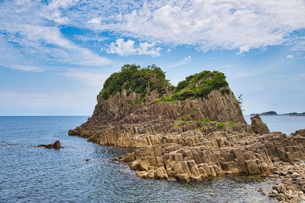 越前岬水仙ランド】の周辺スポット・アクセス・口コミ - Prism Japan