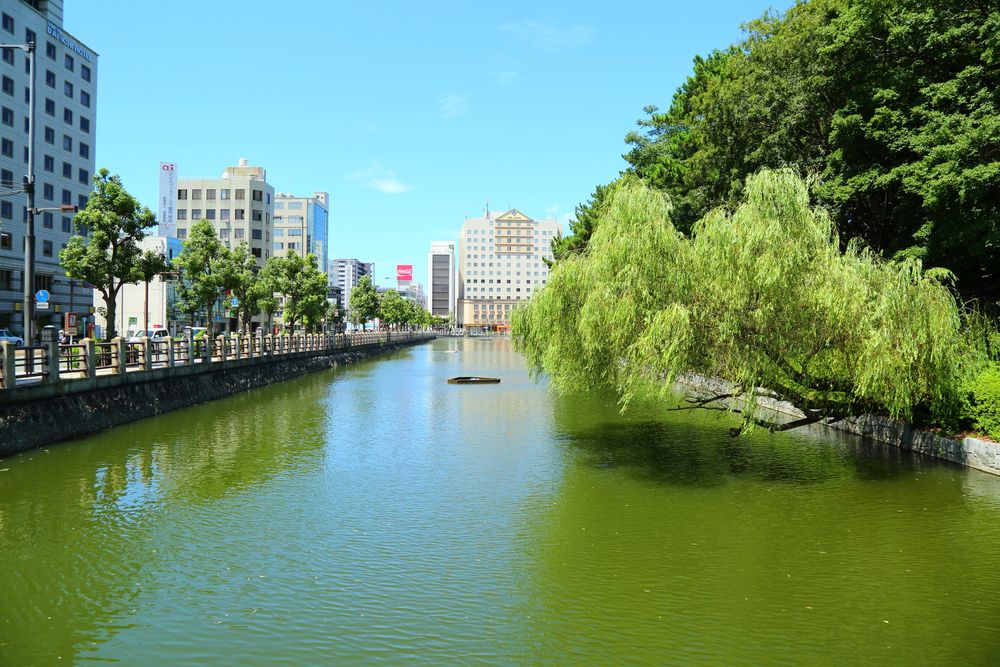 城山公園 本丸広場の画像 - 3枚目