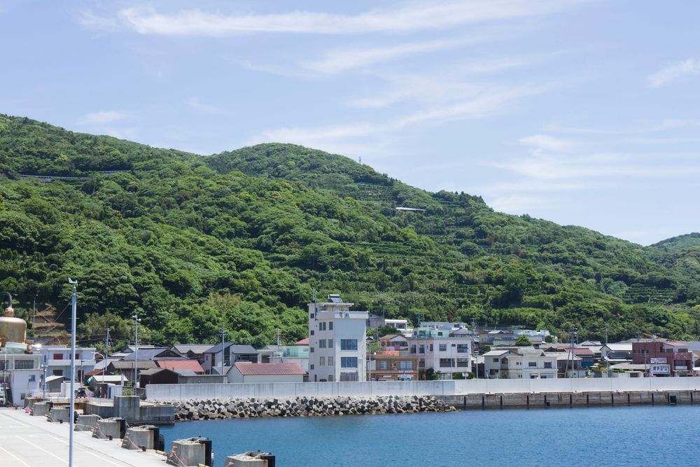 三崎港の画像 - 2枚目