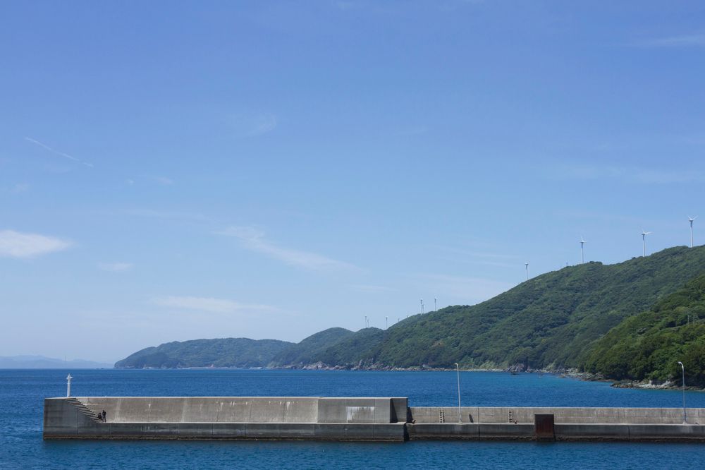 三崎港の画像 - 5枚目