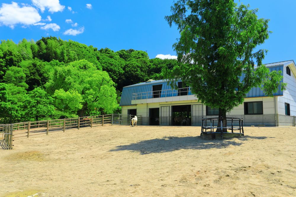 野間馬ハイランドの画像 - 2枚目
