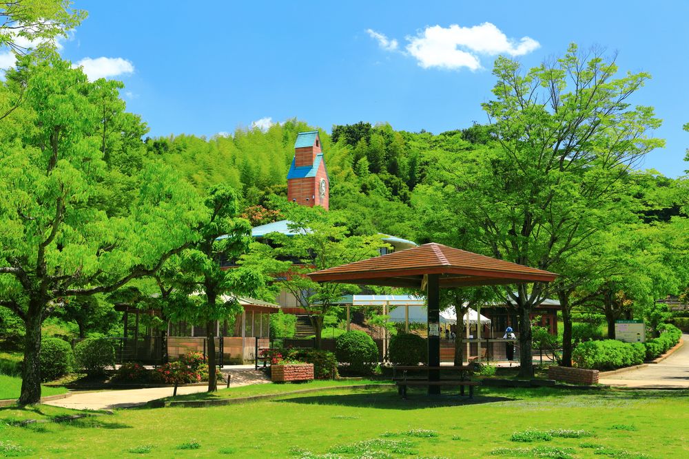 野間馬ハイランドの画像 - 4枚目