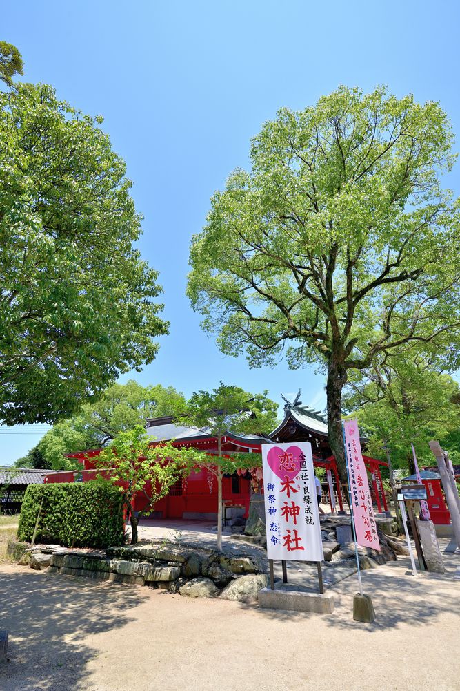 恋木神社の画像 - 4枚目