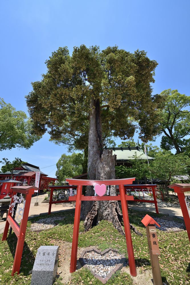 恋木神社の画像 - 5枚目